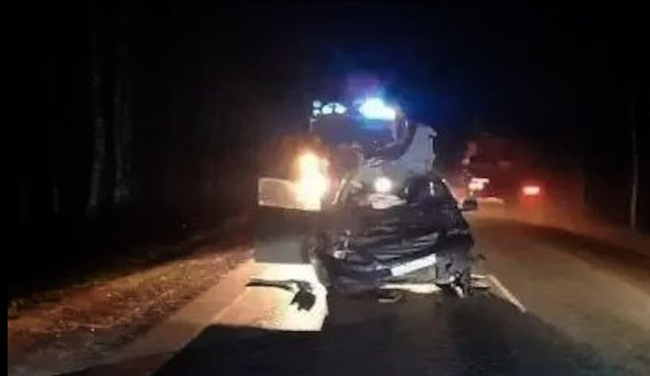В Башкирии в ДТП с лосем погибла женщина