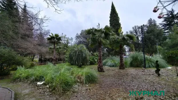 В Башкирии разыгрывают путевки в санаторий &laquo;Росинка&raquo;