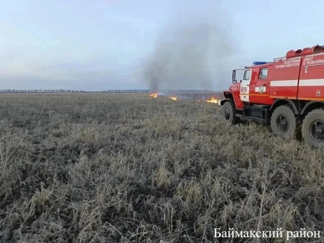 Лесные пожары в Башкирии: сразу в нескольких районах произошли возгорания