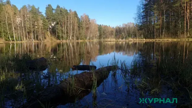 Башкирия готовится к аномально тёплому лету и пожароопасному сезону