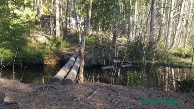 В Башкирии туристы нашли останки мужчины, пропавшего в декабре