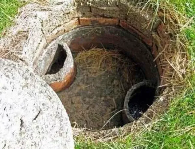 Жироуловитель в раковине: забудьте об ассенизаторе на годы