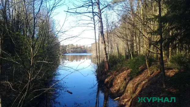 Уровень воды в реках Башкирии продолжает снижаться после паводка