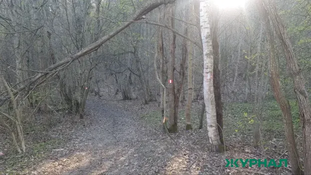 В Башкирии введён особый противопожарный режим до 12 июня