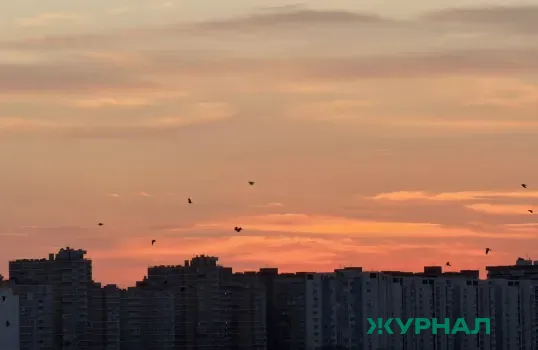 В Уфе, Стерлитамаке и Салавате введен режим &laquo;черного неба&raquo;