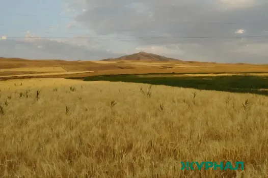 В Башкирии участники СВО получат гранты на агробизнес