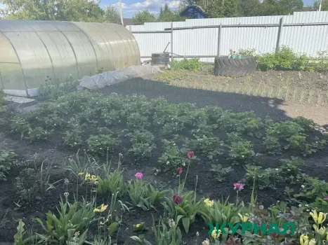 В Уфе напоминают о правилах использования воды для полива