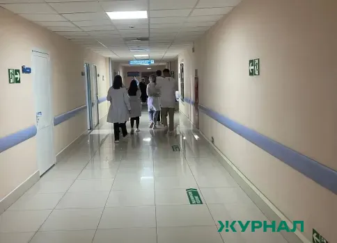 Минздрав Башкирии предупредил о признаках мышиной лихорадки