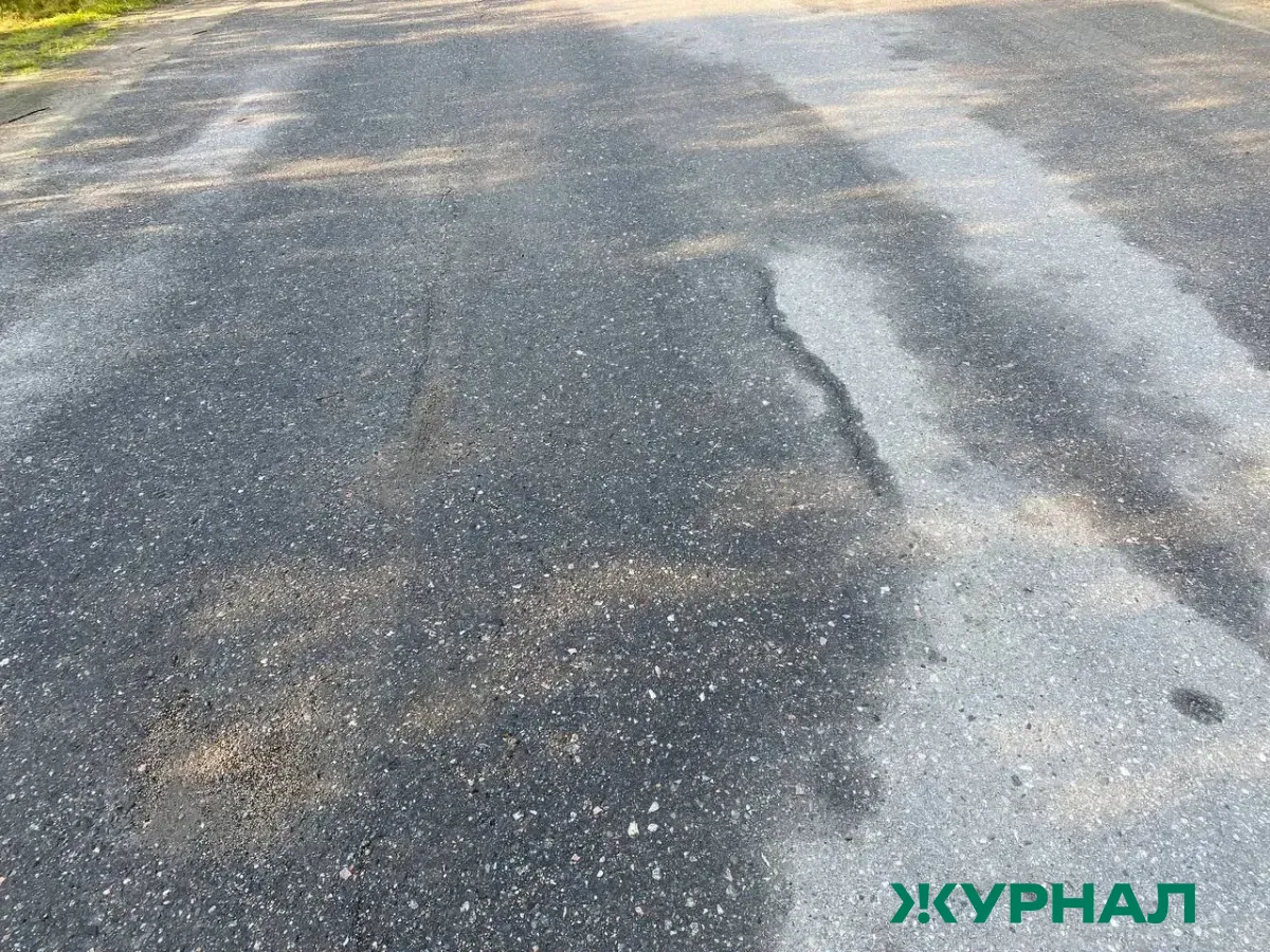 Садоводы под Уфой требуют асфальт на дороге к СНТ за бюджетные средства