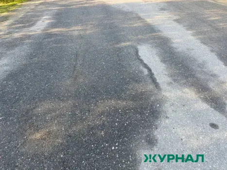 Садоводы под Уфой требуют асфальт на дороге к СНТ за бюджетные средства