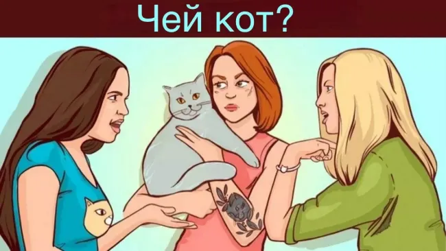 Определи хозяйку кота за 7 секунд и проверь свою логику с увлекательной головоломкой